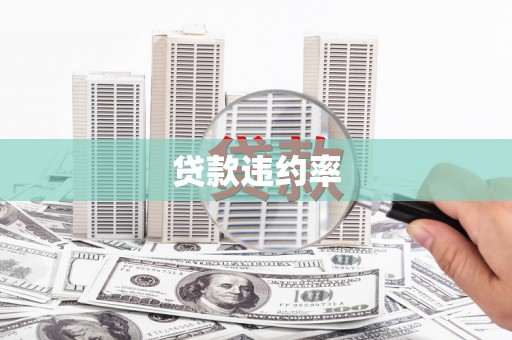 郎溪贷款违约率