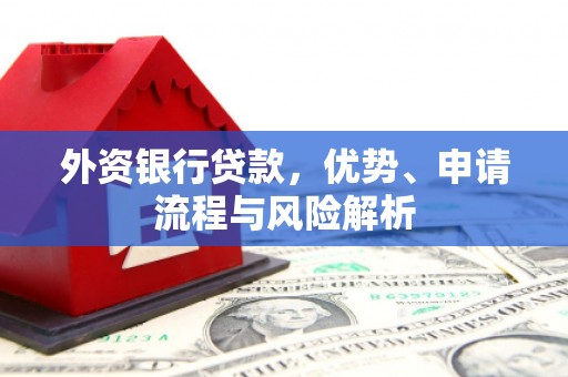 郎溪外资银行贷款，优势、申请流程与风险解析