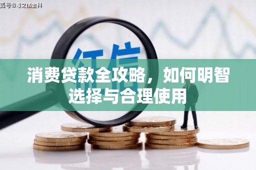 郎溪消费贷款全攻略，如何明智选择与合理使用
