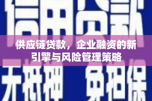 郎溪供应链贷款，企业融资的新引擎与风险管理策略