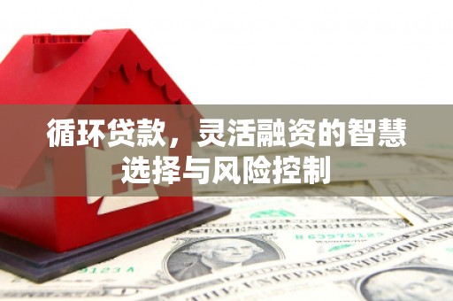 郎溪循环贷款，灵活融资的智慧选择与风险控制