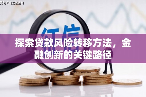 郎溪探索贷款风险转移方法，金融创新的关键路径