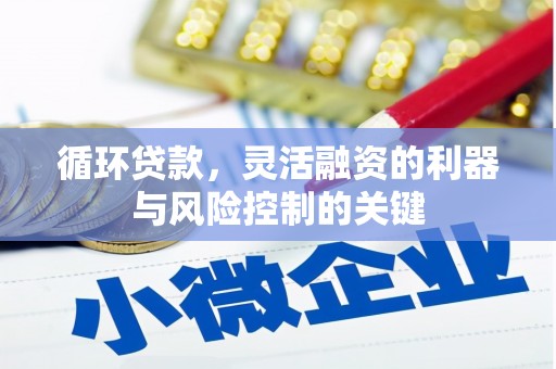 郎溪循环贷款，灵活融资的利器与风险控制的关键