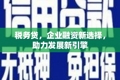 郎溪税务贷，企业融资新选择，助力发展新引擎