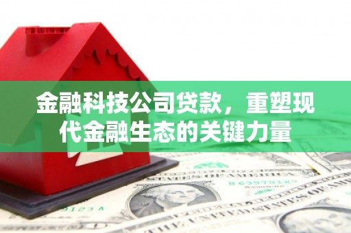郎溪金融科技公司贷款，重塑现代金融生态的关键力量