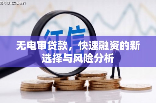 郎溪无电审贷款，快速融资的新选择与风险分析