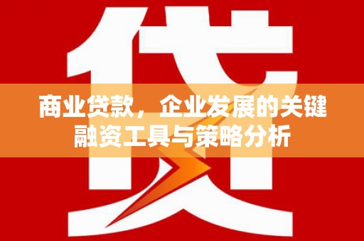 郎溪商业贷款，企业发展的关键融资工具与策略分析