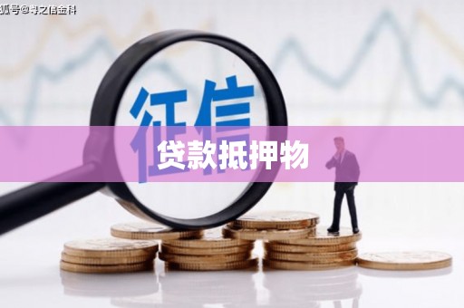 郎溪贷款抵押物