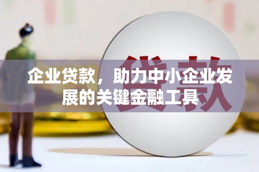 郎溪企业贷款，助力中小企业发展的关键金融工具