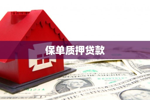 郎溪保单质押贷款