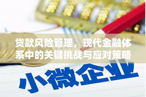 郎溪贷款风险管理，现代金融体系中的关键挑战与应对策略