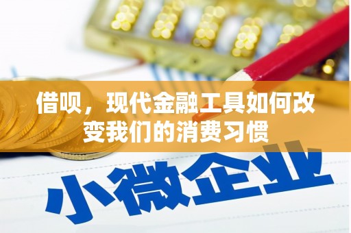 郎溪借呗，现代金融工具如何改变我们的消费习惯