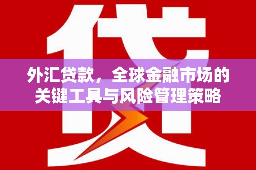 郎溪外汇贷款，全球金融市场的关键工具与风险管理策略