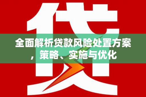 郎溪全面解析贷款风险处置方案，策略、实施与优化