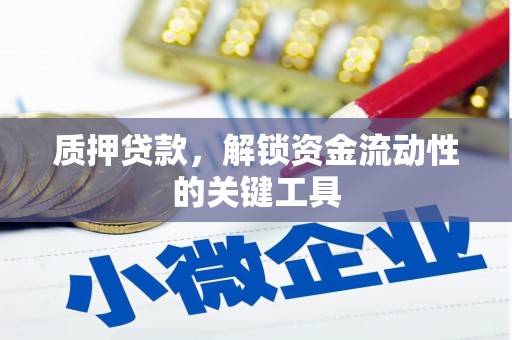 郎溪质押贷款，解锁资金流动性的关键工具