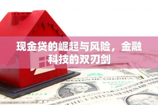 郎溪现金贷的崛起与风险，金融科技的双刃剑