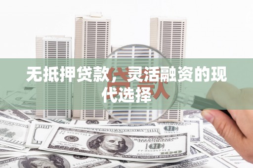 郎溪无抵押贷款，灵活融资的现代选择