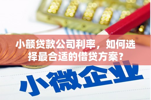 郎溪小额贷款公司利率，如何选择最合适的借贷方案？
