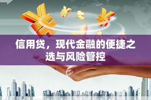 郎溪信用贷，现代金融的便捷之选与风险管控