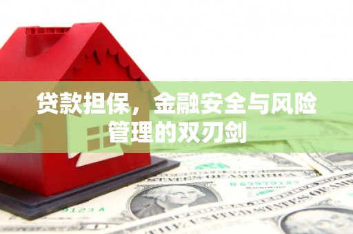 郎溪贷款担保，金融安全与风险管理的双刃剑