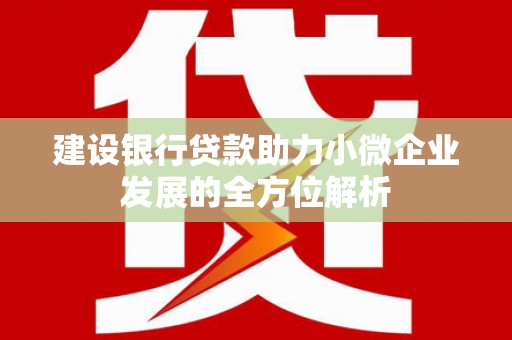 郎溪建设银行贷款助力小微企业发展的全方位解析