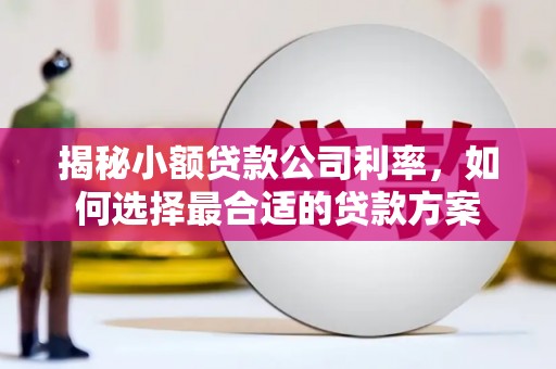 郎溪揭秘小额贷款公司利率，如何选择最合适的贷款方案