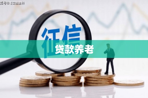 郎溪贷款养老