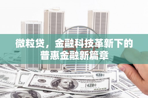 郎溪微粒贷，金融科技革新下的普惠金融新篇章