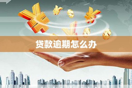 郎溪贷款逾期怎么办