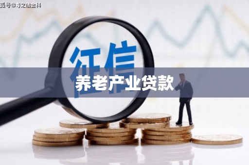 郎溪养老产业贷款