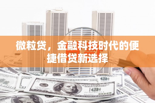 郎溪微粒贷，金融科技时代的便捷借贷新选择