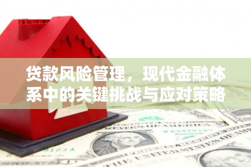 郎溪贷款风险管理，现代金融体系中的关键挑战与应对策略