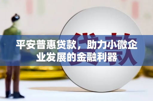 郎溪平安普惠贷款，助力小微企业发展的金融利器