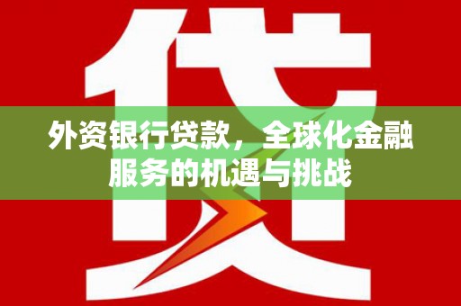 郎溪外资银行贷款，全球化金融服务的机遇与挑战