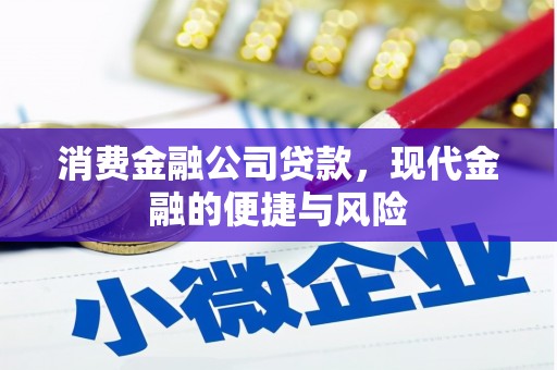 郎溪消费金融公司贷款，现代金融的便捷与风险