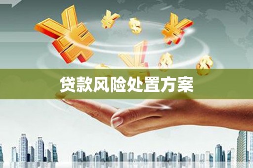 郎溪贷款风险处置方案