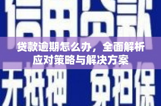 郎溪贷款逾期怎么办，全面解析应对策略与解决方案